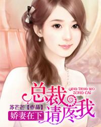 狼性总裁要够了没